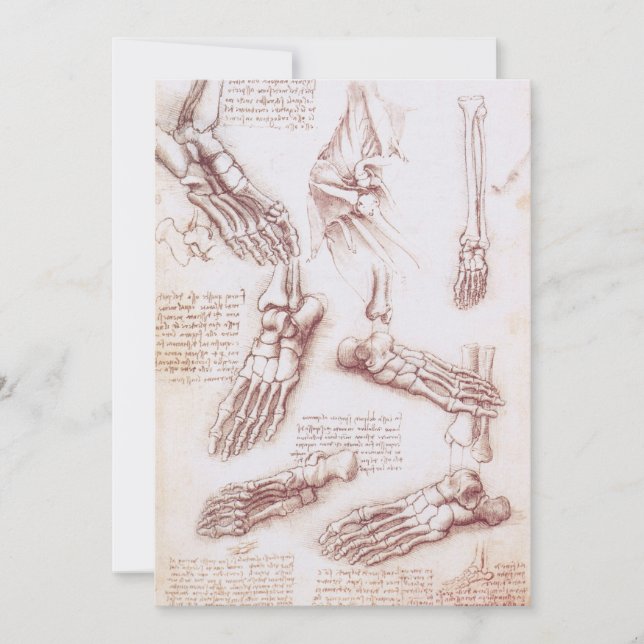 Leonardo da Vinci's Human Anatomy Foot Bones (Front)