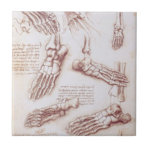 Leonardo da Vinci's Human Anatomy Foot Bones Ceramic Tile
