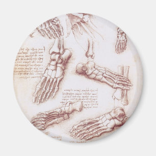 Leonardo da Vinci's Human Anatomy Foot Bones Magnet