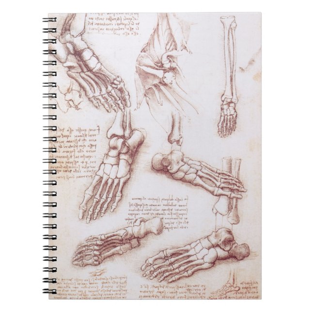 Leonardo da Vinci's Human Anatomy Foot Bones Notebook (Front)