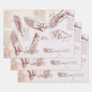 Leonardo da Vinci's Human Anatomy Foot Bones Wrapping Paper Sheet