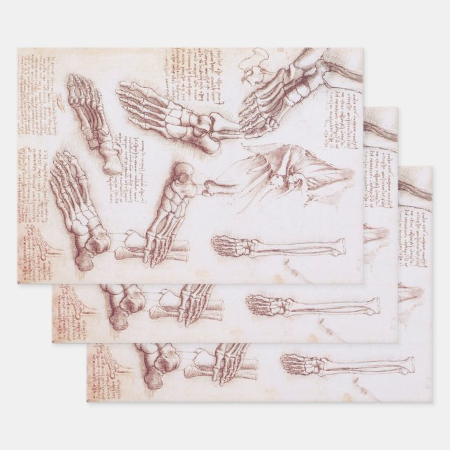 Leonardo da Vinci's Human Anatomy Foot Bones Wrapping Paper Sheet (Set)