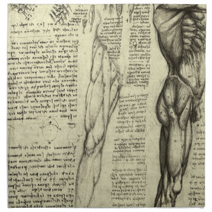 Leonardo da Vinci's Human Anatomy Male Muscles Napkin