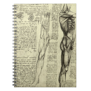 Leonardo da Vinci's Human Anatomy Male Muscles Notebook