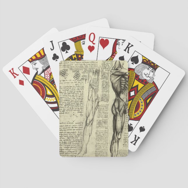 Leonardo da Vinci's Human Anatomy Male Muscles Playing Cards (Back)