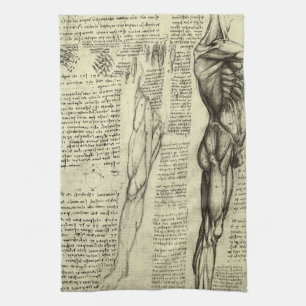 Leonardo da Vinci's Human Anatomy Male Muscles Tea Towel