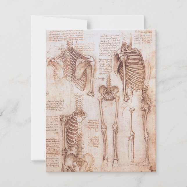 Leonardo da Vinci's Human Anatomy Skeleton Bones (Front)