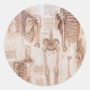Leonardo da Vinci's Human Anatomy Skeleton Bones Classic Round Sticker