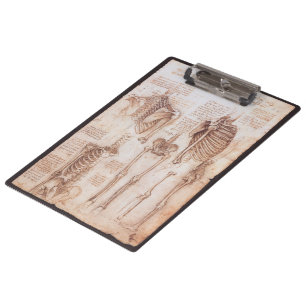 Leonardo da Vinci's Human Anatomy Skeleton Bones Clipboard