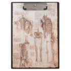 Leonardo da Vinci's Human Anatomy Skeleton Bones