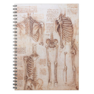 Leonardo da Vinci's Human Anatomy Skeleton Bones Notebook