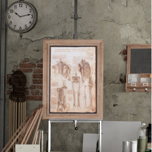 Leonardo da Vinci's Human Anatomy Skeleton Bones Poster