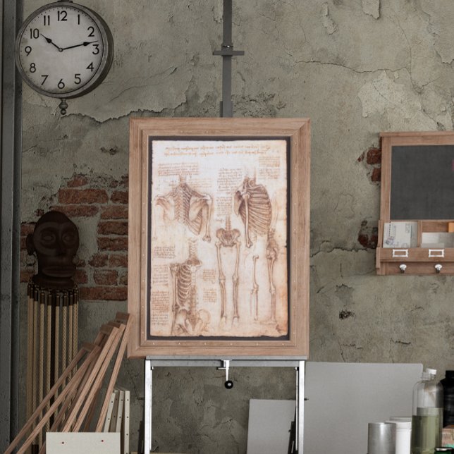 Leonardo da Vinci's Human Anatomy Skeleton Bones Poster (Creator Uploaded)