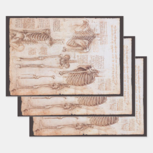 Leonardo da Vinci's Human Anatomy Skeleton Bones Wrapping Paper Sheet