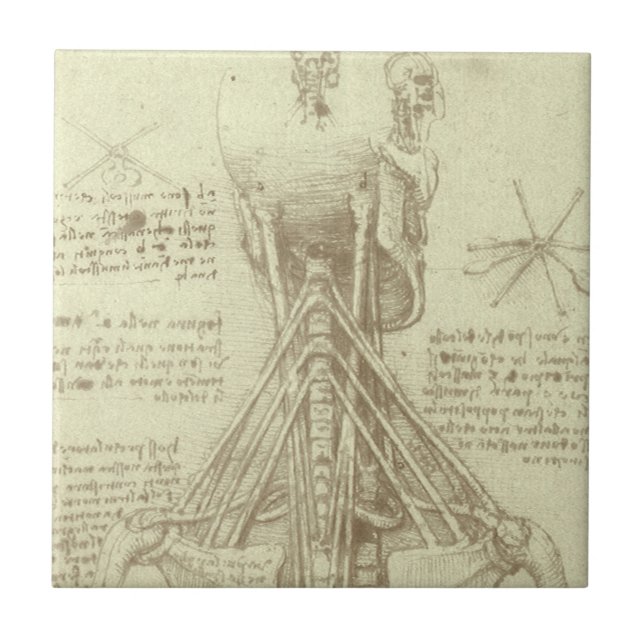 Leonardo da Vinci's Human Anatomy Spinal Column Ceramic Tile (Front)