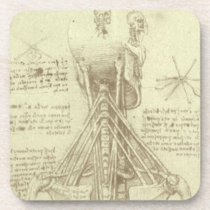 Leonardo da Vinci's Human Anatomy Spinal Column Coaster
