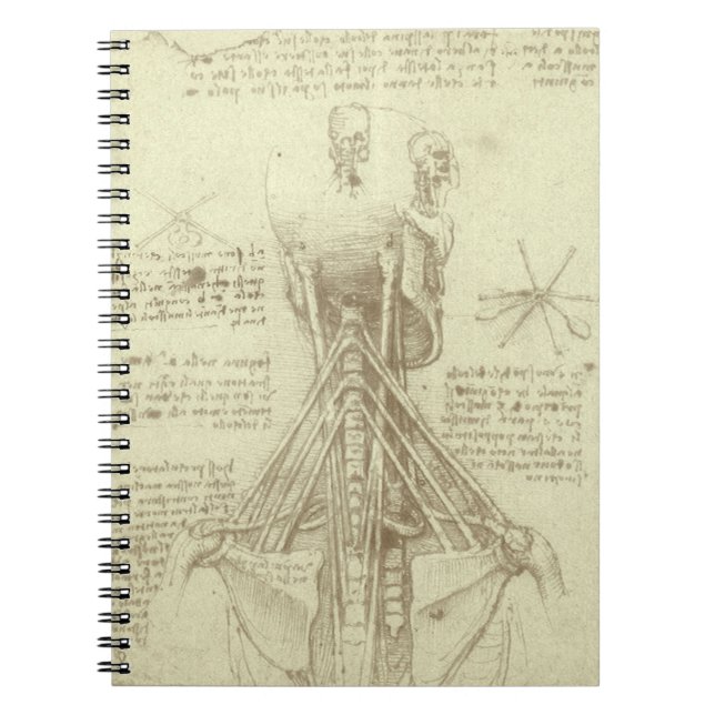 Leonardo da Vinci's Human Anatomy Spinal Column Notebook (Front)