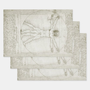 Leonardo da Vinci's Vitruvian Man Wrapping Paper Sheet