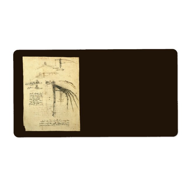 Leonardo da Vinci's Wing on Flying Machine Sketch (Front)