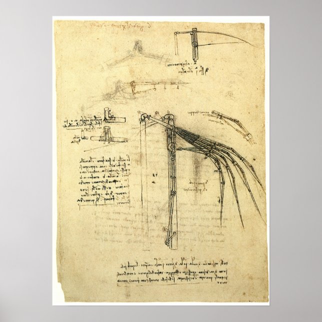 Leonardo da Vinci's Wing on Flying Machine Sketch Poster (Front)
