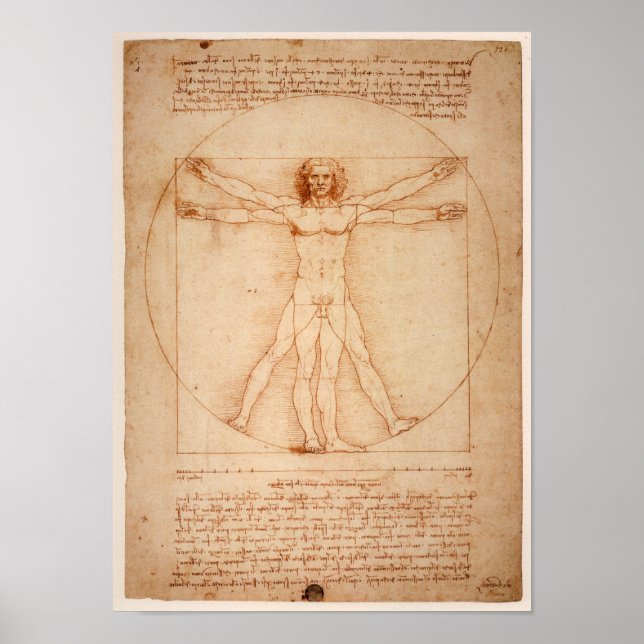 Leonardo de Vinci Drawing Poster (Front)