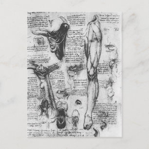 Leonardo Vinci- Anatomical studies (larynx & leg) Postcard