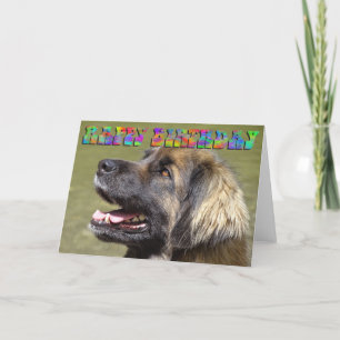 Leonberger birthday card