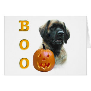 Leonberger Boo