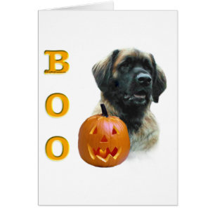 Leonberger Boo