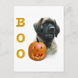 Leonberger Boo Postcard