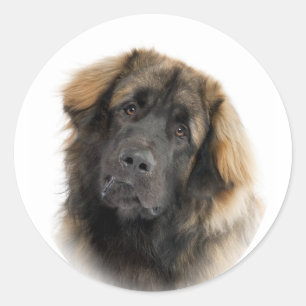 Leonberger Classic Round Sticker