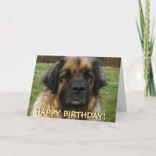 Leonberger dog birthday card