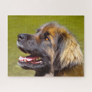 Leonberger Dog Breed Jigsaw. Jigsaw Puzzle