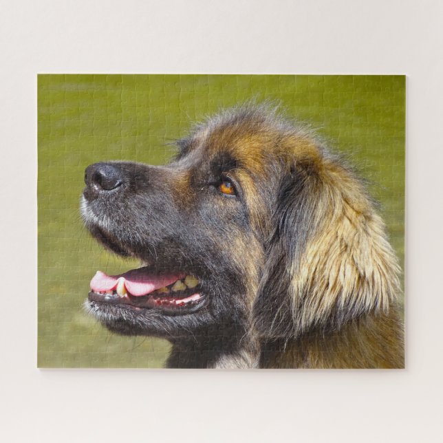 Leonberger Dog Breed Jigsaw. Jigsaw Puzzle (Horizontal)