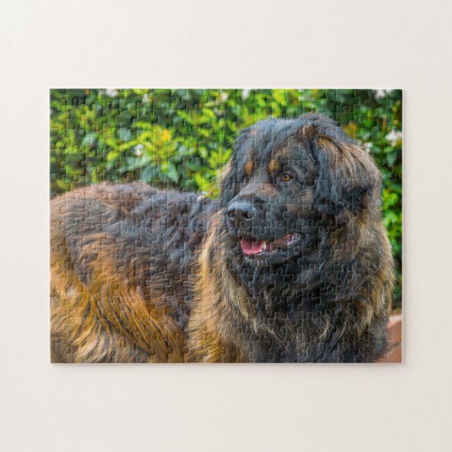 Leonberger Dog Breed Jigsaw. Jigsaw Puzzle (Horizontal)