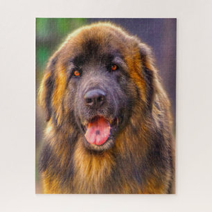 Leonberger Dog Breed Jigsaw. Jigsaw Puzzle