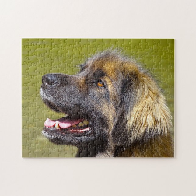 Leonberger Dog Breed Jigsaw. Jigsaw Puzzle (Horizontal)