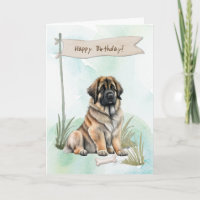Leonberger Dog Breed Outdoors Under Birthday Sign