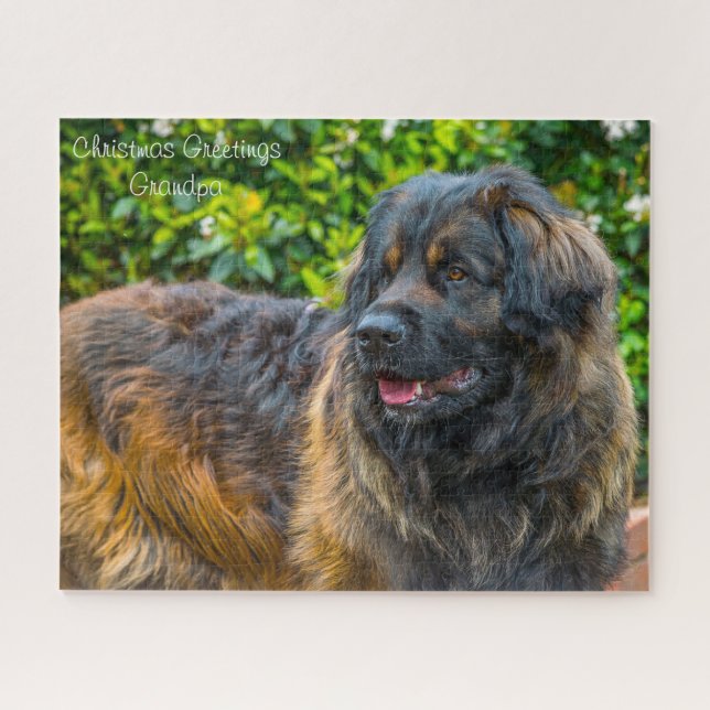 Leonberger Dog. Jigsaw Puzzle (Horizontal)