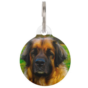 Leonberger Dog. Pet Tag