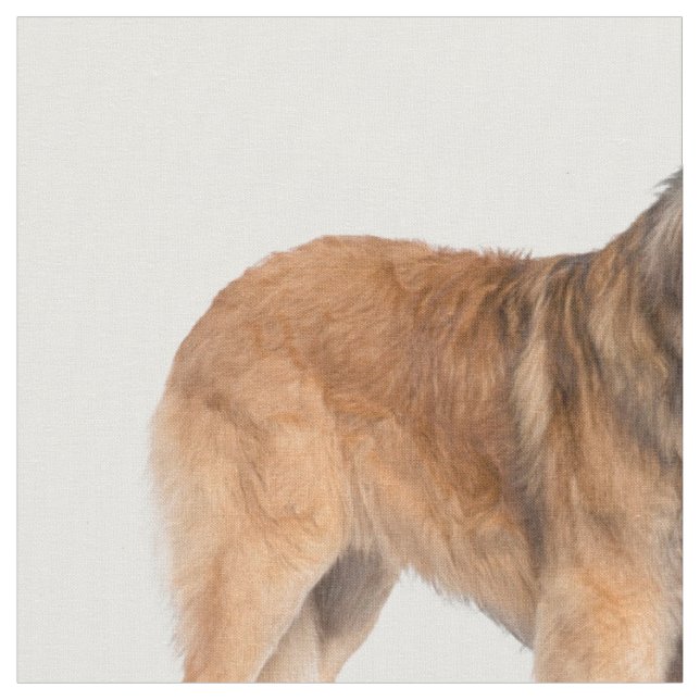 Leonberger Fabric (Close Up)