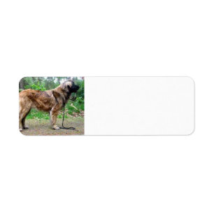 Leonberger-full Return Address Label