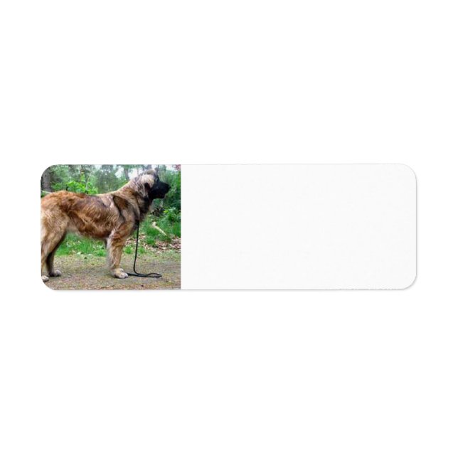 Leonberger-full Return Address Label (Front)
