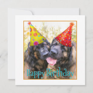 Leonberger Happy Birthday Thank You Card