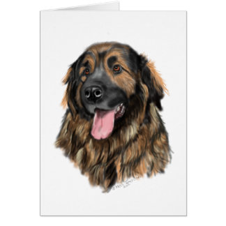 Leonberger Head Study