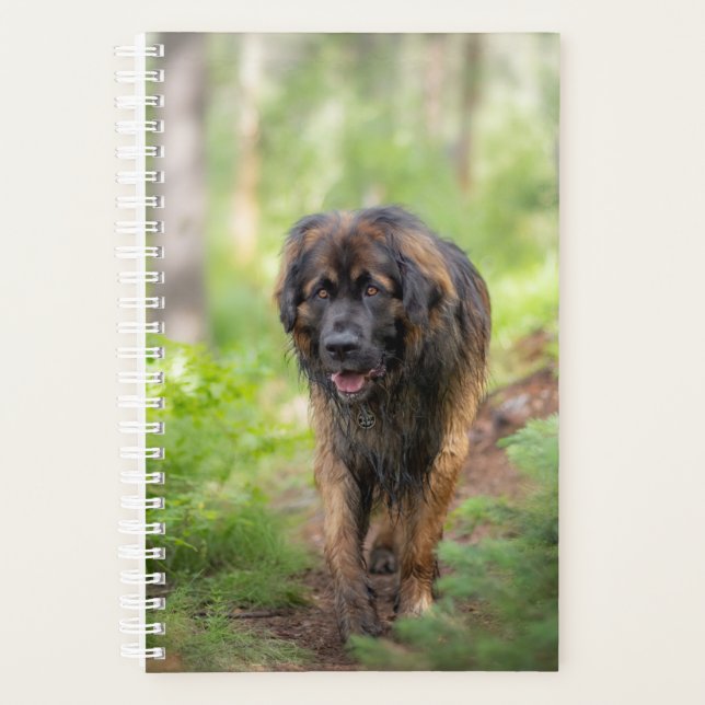 Leonberger Planner (Front)