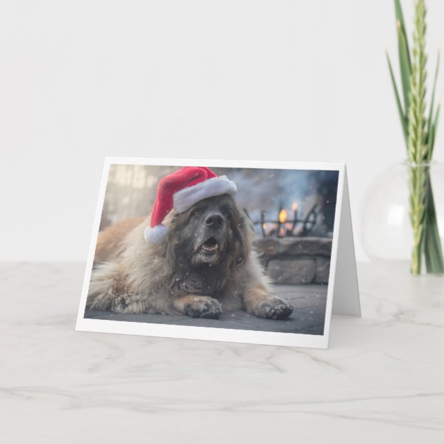 Leonberger Santa Holiday Card (Front)