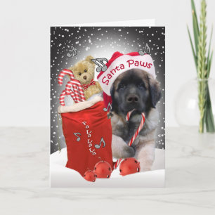 Leonberger Santa Paws Christmas Card