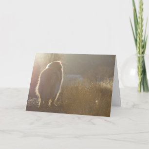 Leonberger Symapthy card