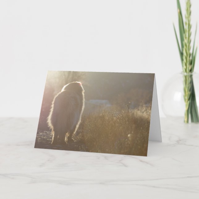 Leonberger Symapthy card (Front)